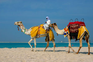 UAE