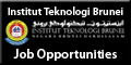 Lecturers/Senior Lecturers/ Associate Professors Lecturers/Senior Lecturers/ Associate Professors