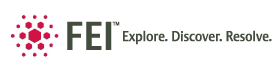 FEI Company