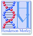 Henderson Morley plc