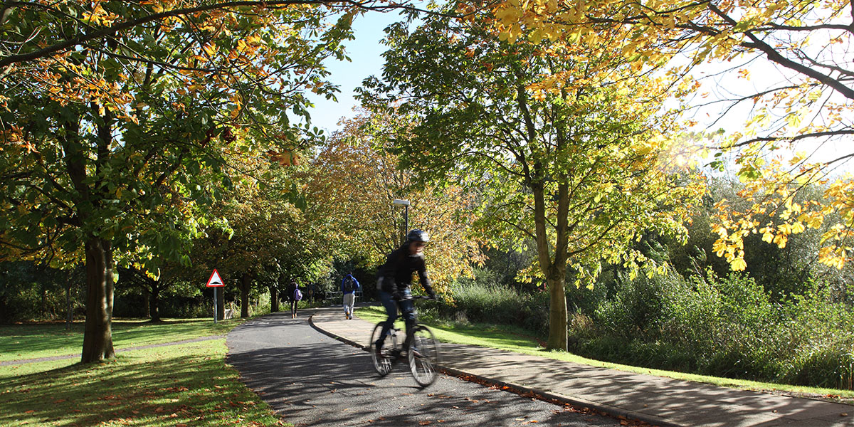 Cyclists