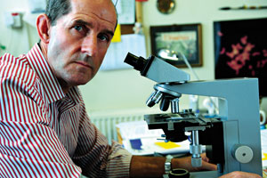 Professor Adrian Bone