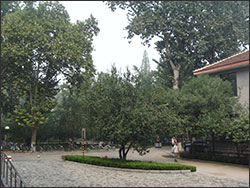 Shandong University Campus Grounds