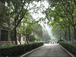 Shandong University Campus Students