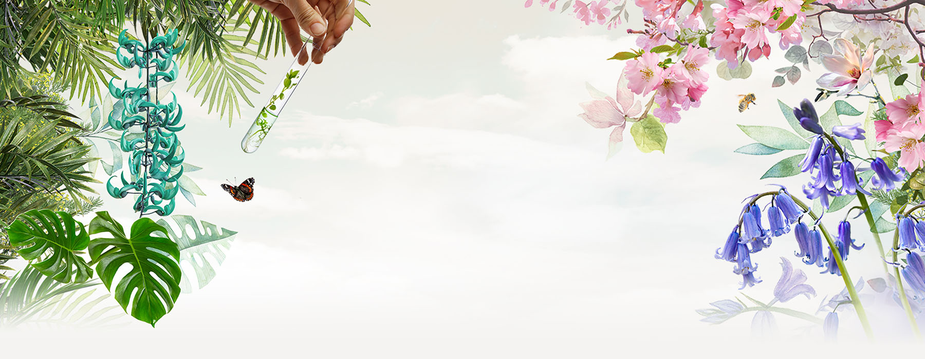 Header Image
