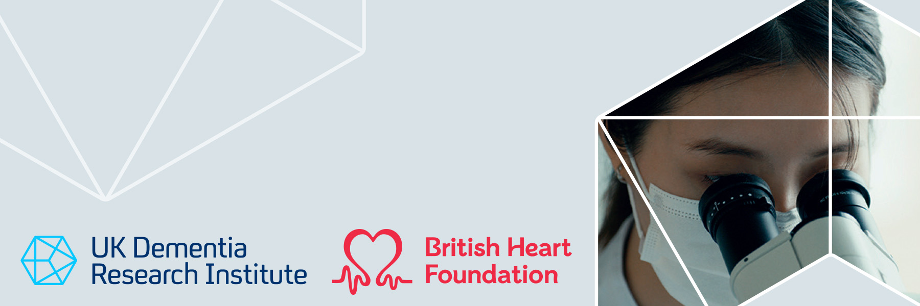 Centre Director for BHF UK DRI Centre for Vascular Dementia Research