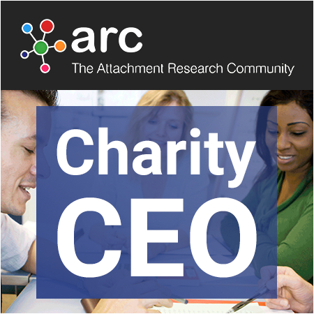 Chief Executive Officer (CEO) Of Charity