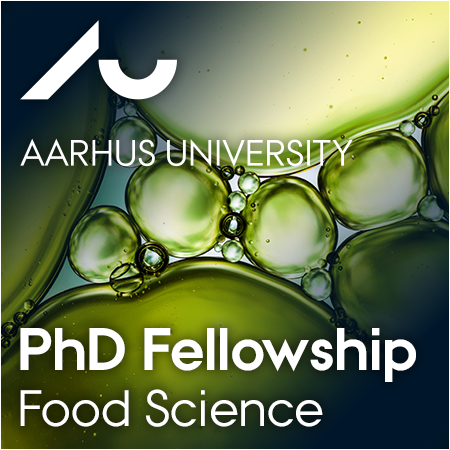 University of Aarhus - PhD Fellowship/Scholarship in Food Science