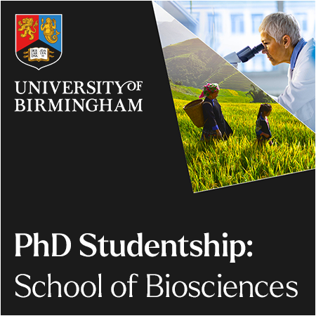 University of Birmingham - PhD Studentship: Mitochindrial DNA repair