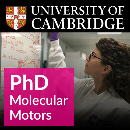 University of Cambridge - PhD Studentship - Mechanism and evolution of divergent molecular motors in
