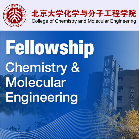 College of Chemistry and Molecular Engineering, Peking University - International BMS Fellowship of 