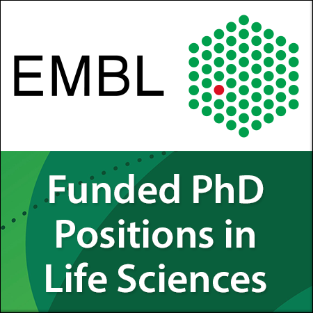 Fully Funded PhD Positions in Life Sciences