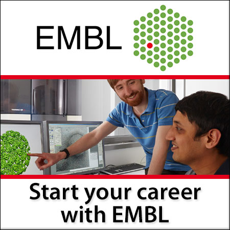 Multiple opportunities 