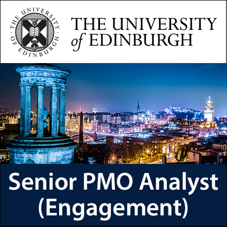 Senior PMO Analyst (Engagement)