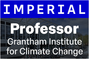 Imperial College London - Grantham Institute Assistant Professor / Associate Professor (two position