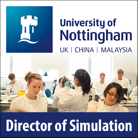 Director of Simulation 