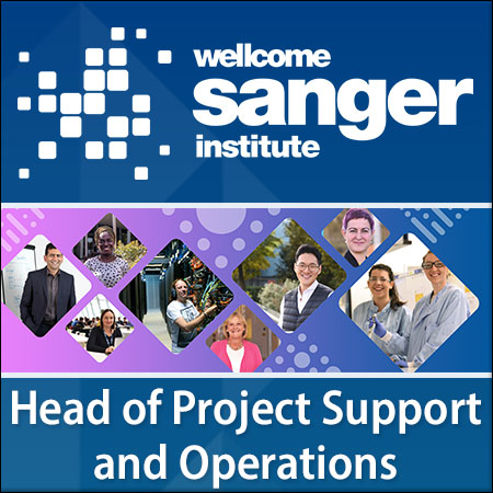 Head of Project Support and Operations