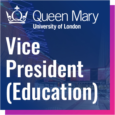Queen Mary University of London - Vice President (Education)