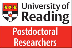 Postdoctoral Researchers in the impact of the convective environment on convection and turbulence 