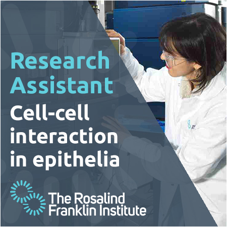 Rosalind Franklin Institute