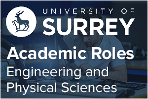 Professor(s)/Lecturer(s) – Engineering/Physical Sci