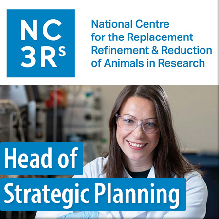 Head of Strategic Planning