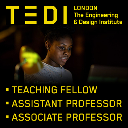 TEDI London - Teaching Fellow / Assistant Professor / Associate Professor