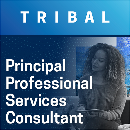 Tribal Group - Principal Professional Services Consultant