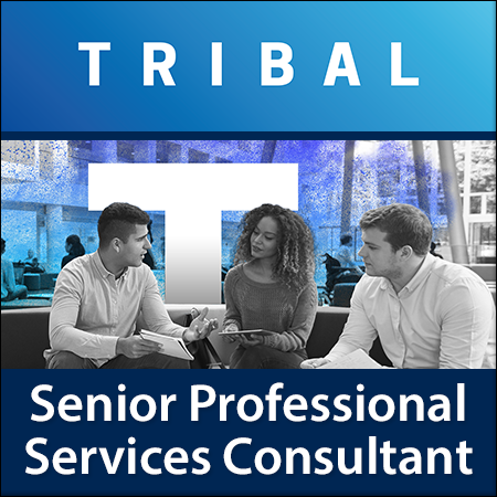 Senior Professional Services Consultant - SITS
