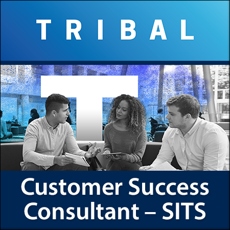 Customer Success Consultant - SITS