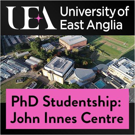 University of East Anglia - PhD Studentship: Understanding RNAi application for the control of cabba