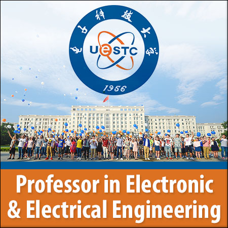 Assistant/Associate/Full Professor in Electronic and Electrical Engineering