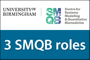 3 SMQB roles 