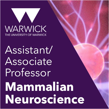 University of Warwick - Assistant or Associate Professor in Mammalian Neuroscience