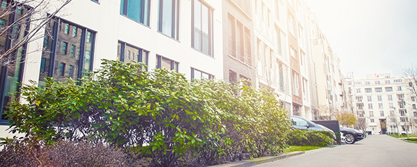 Finding Accommodation in Germany - An image of a street with beautiful townhouses in Berlin, Germany