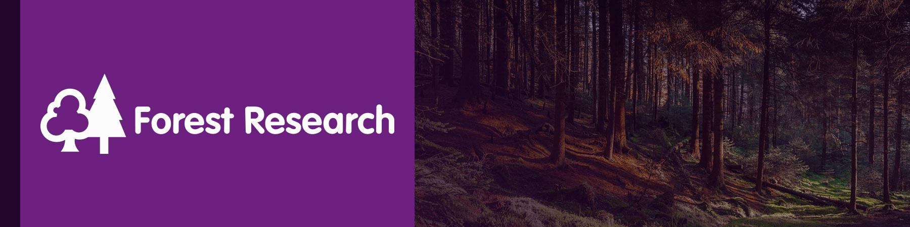 Forest Research
