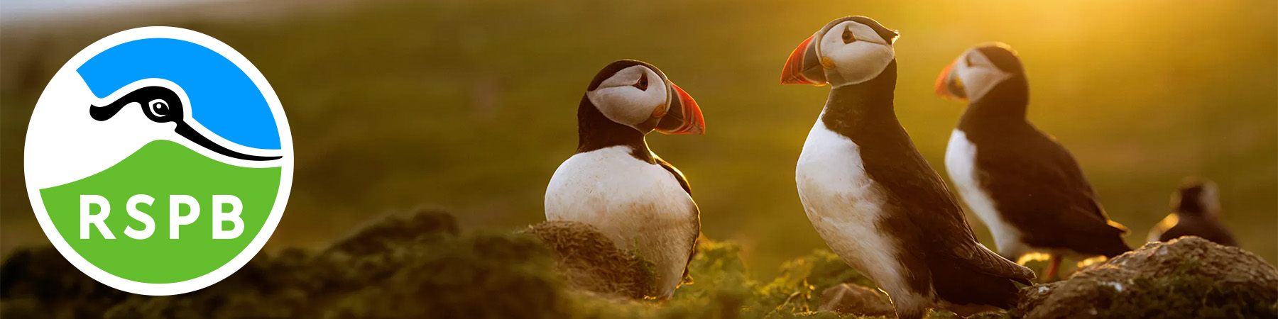 RSPB
