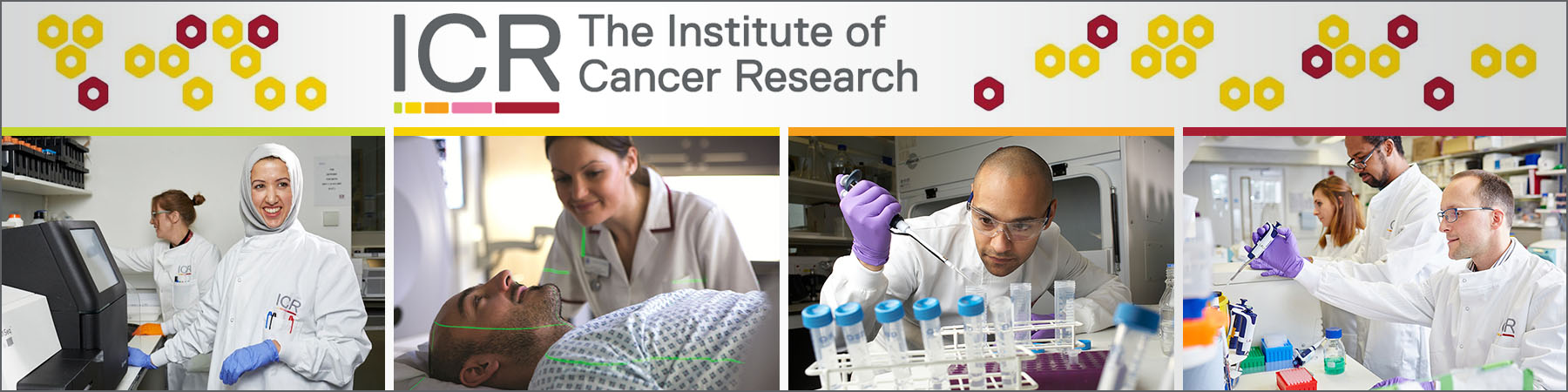 The Institute of Cancer Research