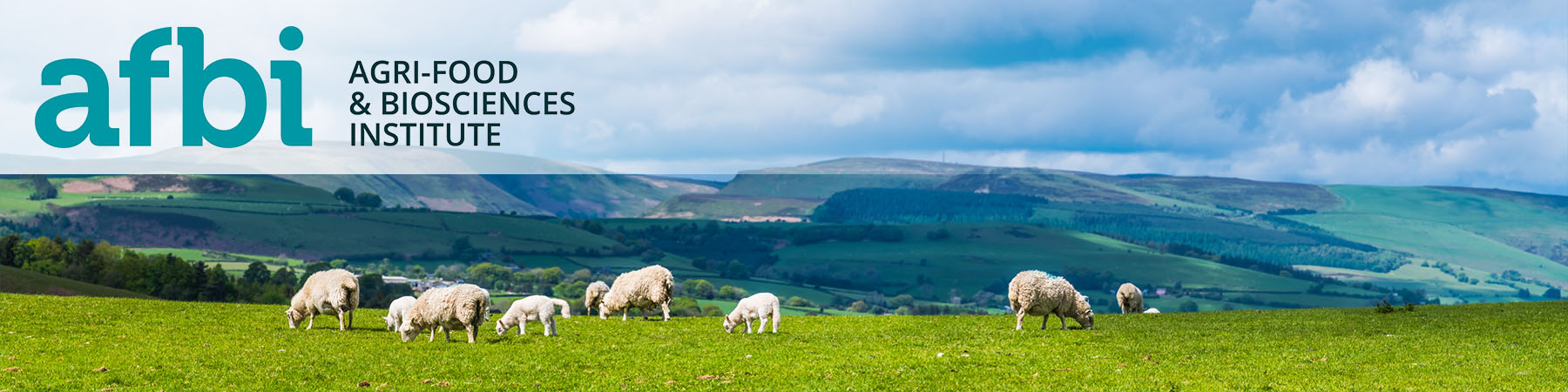 Agri-Food and Biosciences Institute (AFBI)