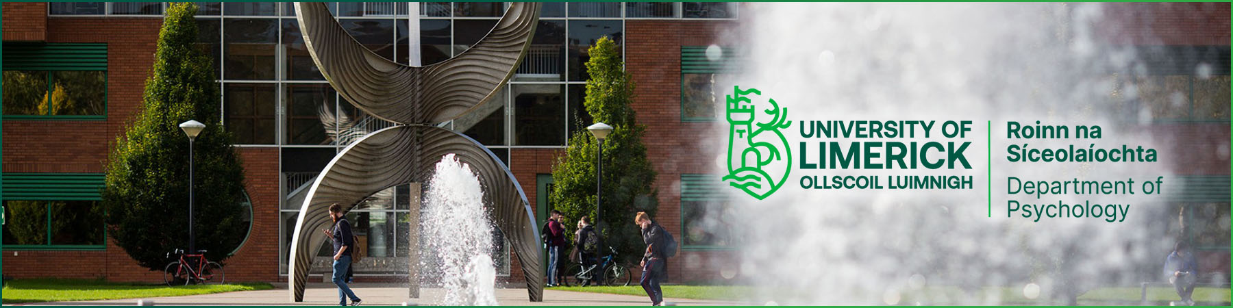 University of Limerick