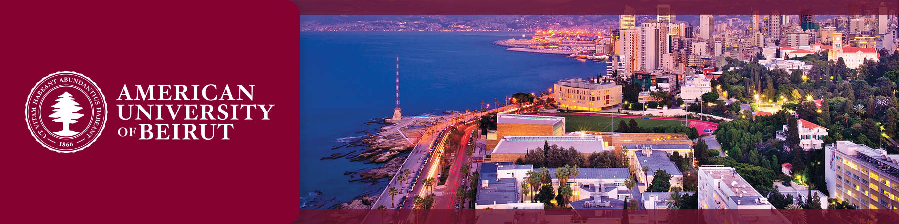 American University of Beirut