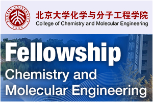 College of Chemistry and Molecular Engineering, Peking University - International BMS Fellowship of 