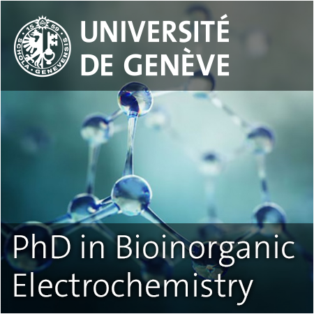 PhD in Chemistry, in the domain of Bioinorganic Electrochemistry