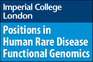 Positions in Human Rare Disease Functional Genomics