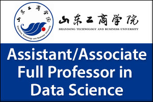Assistant/Associate/Full Professor in Data Science